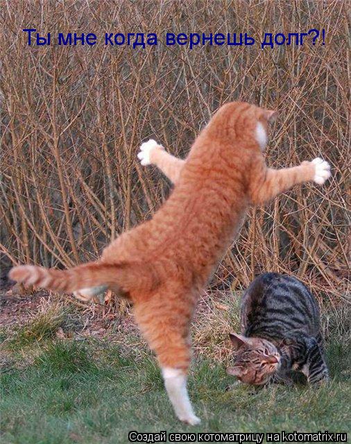 Котоматрица: Ты мне когда вернешь долг?!