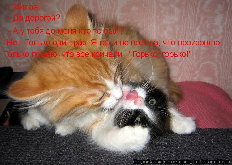 Котоматрица: - Милая! - Да дорогой? - А у тебя до меня кто то был? - Нет. Только один раз. Я так и не поняла, что произошло, Только помню, что все кричали : "Горьк