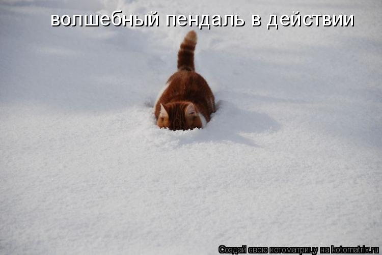 Котоматрица: волшебный пендаль в действии