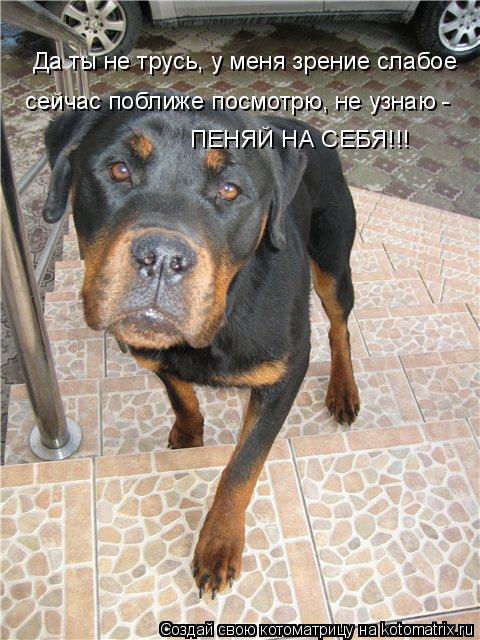 Котоматрица: Да ты не трусь, у меня зрение слабое сейчас поближе посмотрю, не узнаю -  ПЕНЯЙ НА СЕБЯ!!!