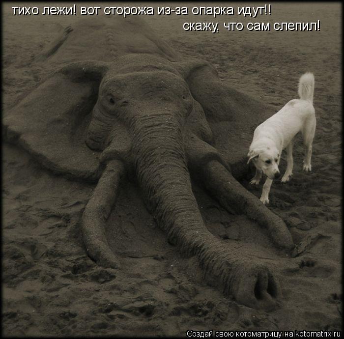 Котоматрица: тихо лежи! вот сторожа из-за опарка идут!! скажу, что сам слепил!
