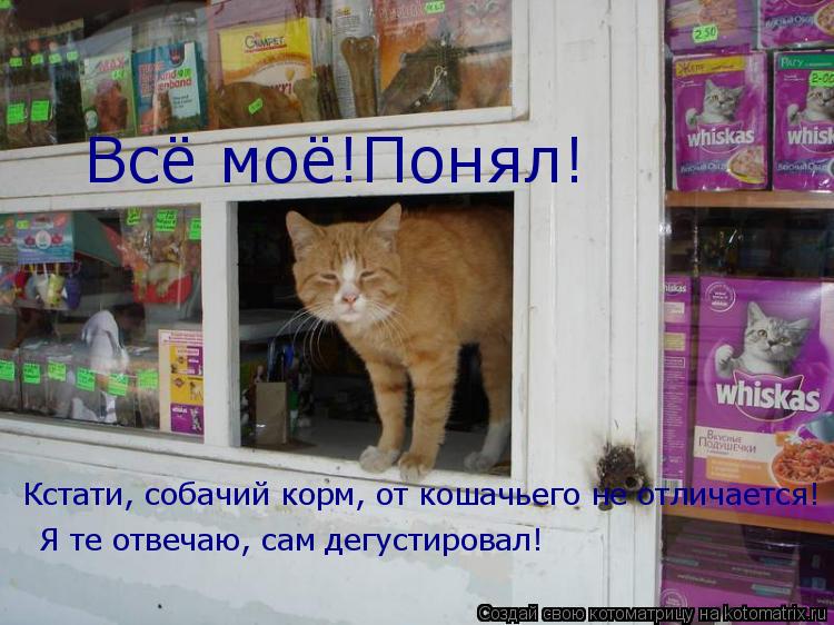 Котоматрица: Всё моё!Понял! Кстати, собачий корм, от кошачьего не отличается! Я те отвечаю, сам дегустировал!