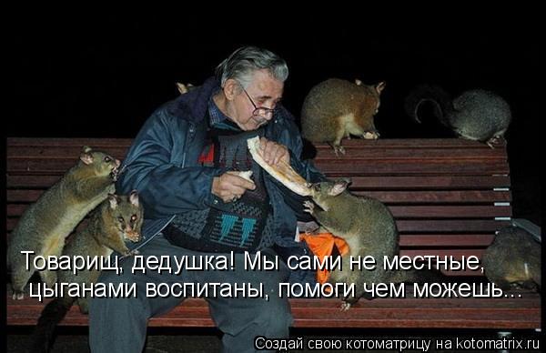 Котоматрица: Товарищ, дедушка! Мы сами не местные, цыганами воспитаны, помоги чем можешь...