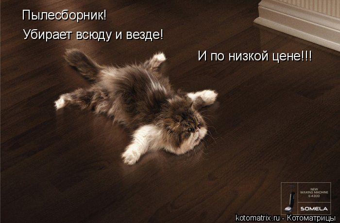 Котоматрица: Пылесборник! Убирает всюду и везде! И по низкой цене!!!