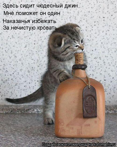 Котоматрица: Здесь сидит чюдесный джин Мне поможет он один Наказанья избежать За нечистую кровать