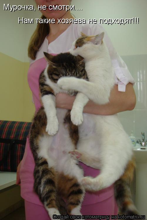 Котоматрица: Мурочка, не смотри.... Нам такие хозяева не подходят!!!