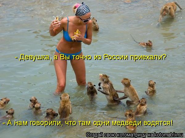 Котоматрица: - Девушка, а Вы точно из России приехали? - А нам говорили, что там одни медведи водятся!