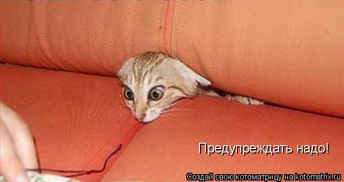 Котоматрица: Предупреждать надо!