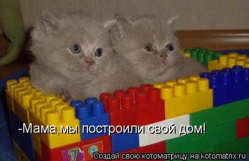 Котоматрица: -Мама,мы построили свой дом!