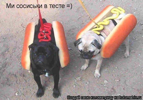 Котоматрица: Ми сосиськи в тесте =)