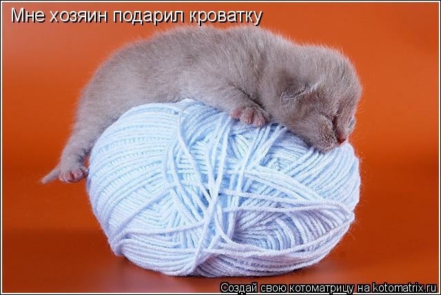 Котоматрица: Мне хозяин подарил кроватку