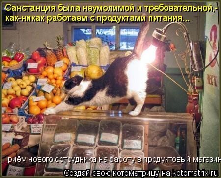 Котоматрица: Санстанция была неумолимой и требовательной,- как-никак работаем с продуктами питания... Приём нового сотрудника на работу в продуктовый ма