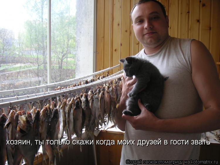 Котоматрица: хозяин, ты только скажи когда моих друзей в гости звать