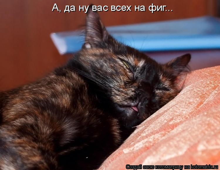 Котоматрица: А, да ну вас всех на фиг...
