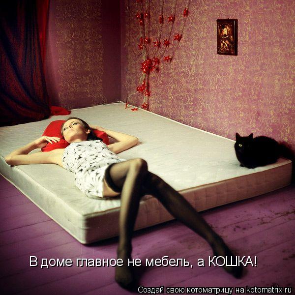 Котоматрица: В доме главное не мебель, а КОШКА!
