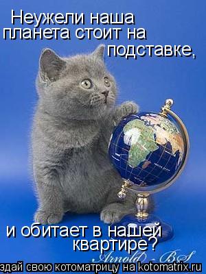 Котоматрица: Неужели наша  планета стоит на подставке, и обитает в нашей  квартире?