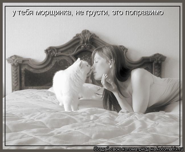 Котоматрица: у тебя морщинка, не грусти, это поправимо
