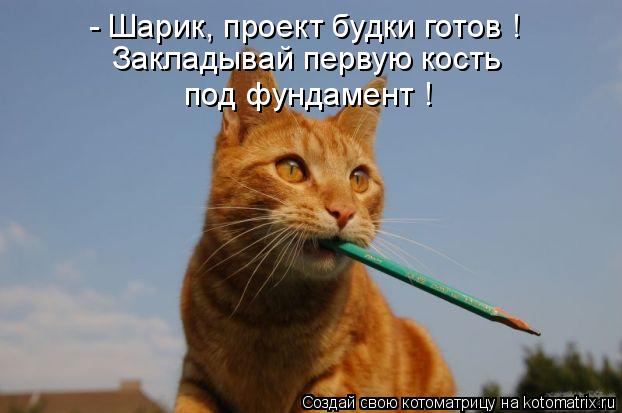 - Шарик, проект будки готов ! Закладывай первую кость под фундамент !... Котоматрица: - Шарик, проект будки готов ! Закладывай первую кость под фундамент !