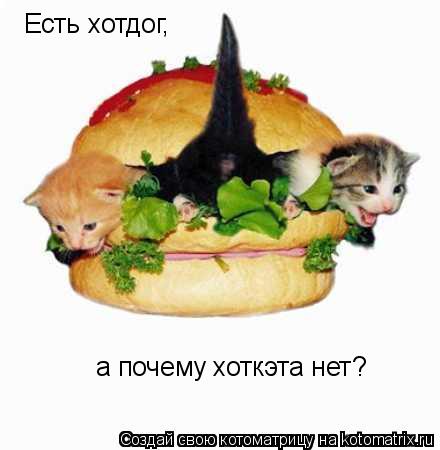 Котоматрица: Есть хотдог, а почему хоткэта нет?