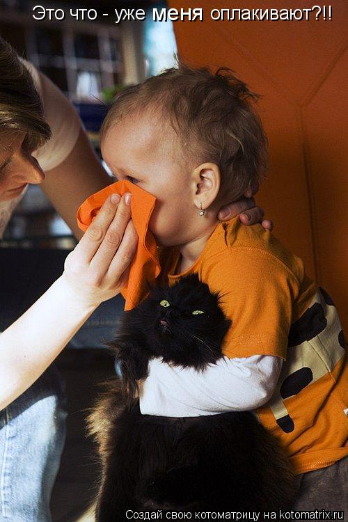 Это что - уже меня оплакивают?!!... Котоматрица: Это что - уже меня оплакивают?!!