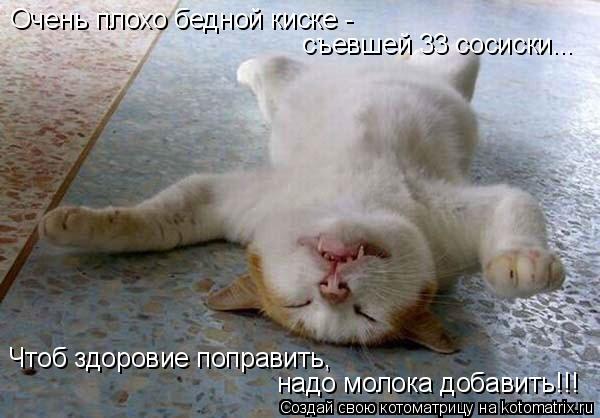 Котоматрица: Очень плохо бедной киске - съевшей 33 сосиски... Чтоб здоровие поправить,  надо молока добавить!!!