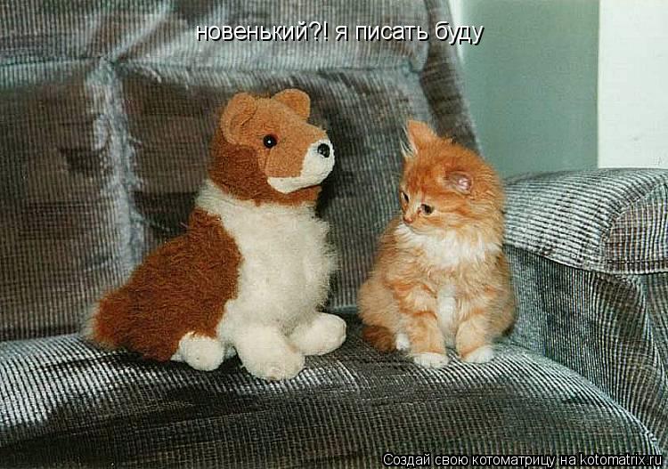 Котоматрица: новенький?! я писать буду