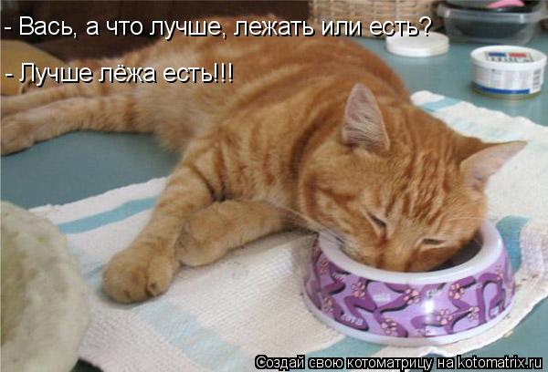 Котоматрица: - Вась, а что лучше, лежать или есть? - Лучше лёжа есть!!!