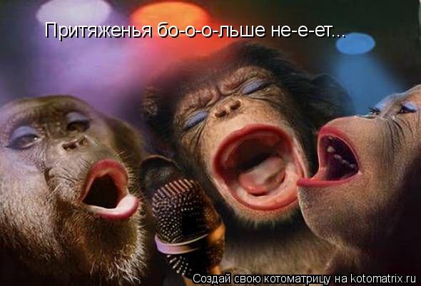 Котоматрица: Притяженья бо-о-о-льше не-е-ет...