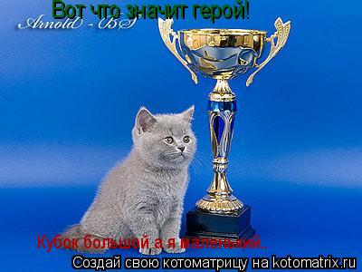 Котоматрица: Вот что значит герой! Кубок большой а я маленький..