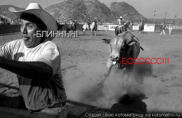 Котоматрица: -БЛИНННН! -ЕСССССС!!!