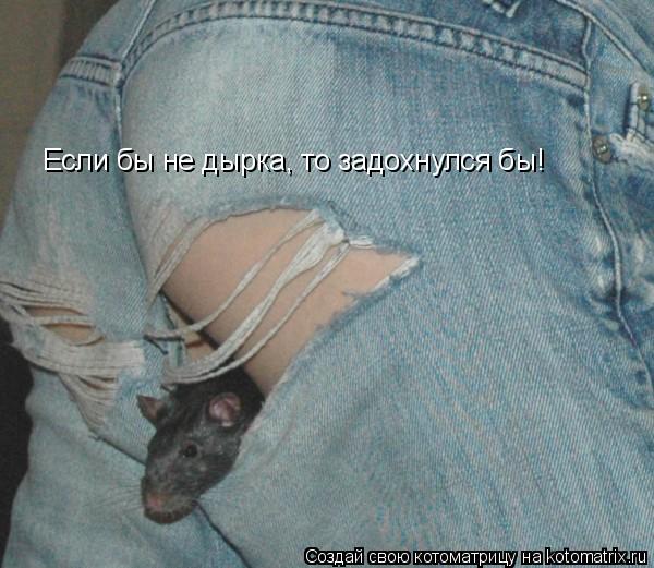 Котоматрица: Если бы не дырка, то задохнулся бы!
