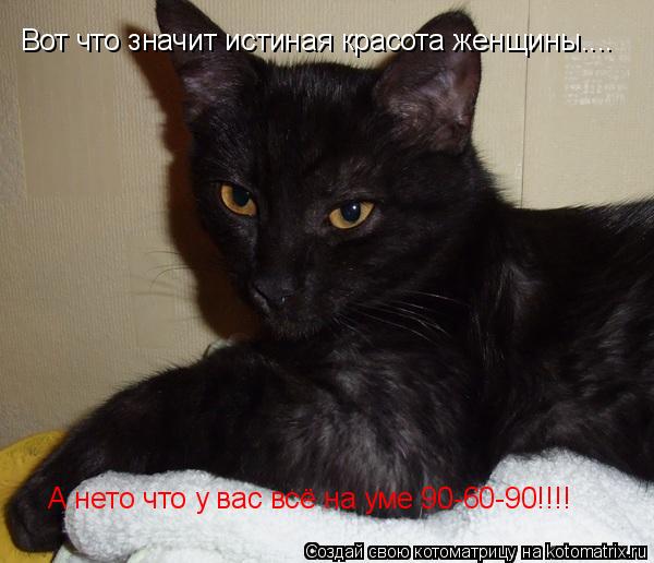 Котоматрица: Вот что значит истиная красота женщины.... А нето что у вас всё на уме 90-60-90!!!!