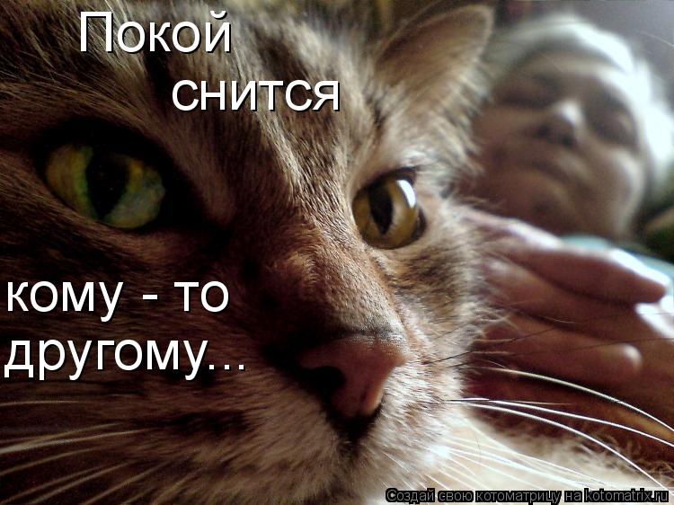 Котоматрица: Покой снится кому - то другому...