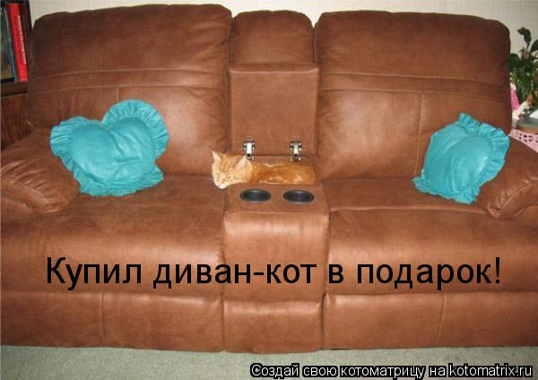 Котоматрица: Купил диван-кот в подарок!