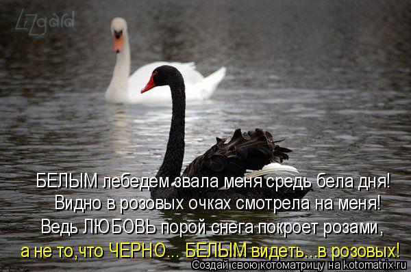БЕЛЫМ лебедем звала меня средь бела дня! Ведь ЛЮБОВЬ порой снега покроет розами, Видно в розовых очка... Котоматрица: БЕЛЫМ лебедем звала меня средь бела дня! Ведь ЛЮБОВЬ порой снега покроет розами, Видно в розовых очках смотрела на меня! а не то,что ЧЕРНО... Б