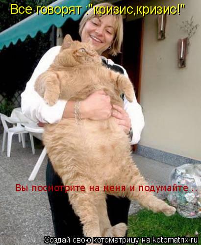 Котоматрица: Все говорят :"кризис,кризис!" Вы посмотрите на меня и подумайте ..
