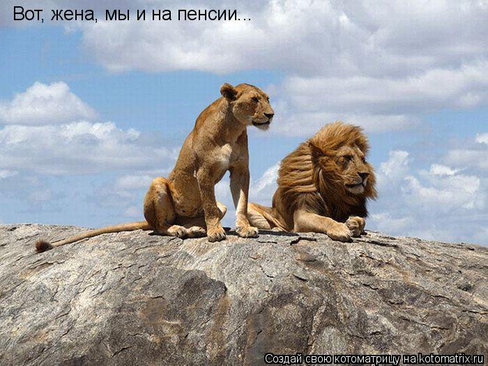 Котоматрица: Вот, жена, мы и на пенсии...
