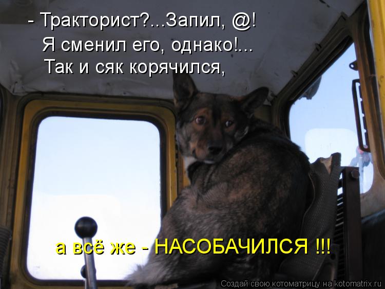 Котоматрица: - Тракторист?...Запил, @! Так и сяк корячился, Я сменил его, однако!... а всё же - НАСОБАЧИЛСЯ !!!