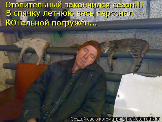 Котоматрица: Отопительный закончился сезон!!! В спячку летнюю весь персонал КОТельной погружён...