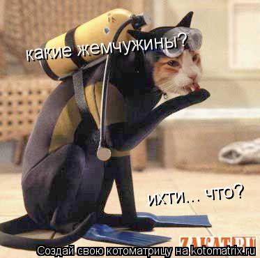Котоматрица: какие жемчужины? ихти... что? ихти... что? какие жемчужины?