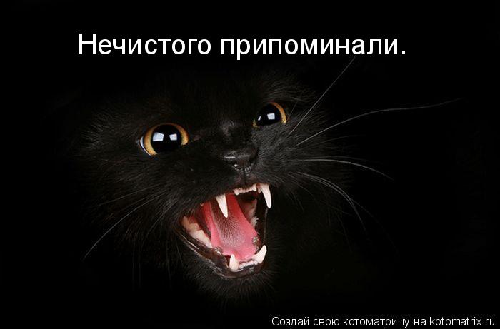 Котоматрица: Нечистого припоминали.
