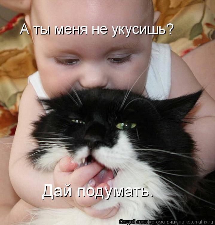 Котоматрица: А ты меня не укусишь? Дай подумать.