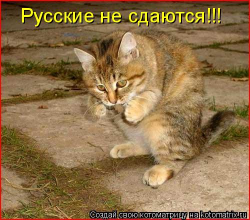 Котоматрица: Русские не сдаются!!!