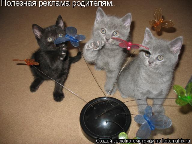 Котоматрица: Полезная реклама родителям...