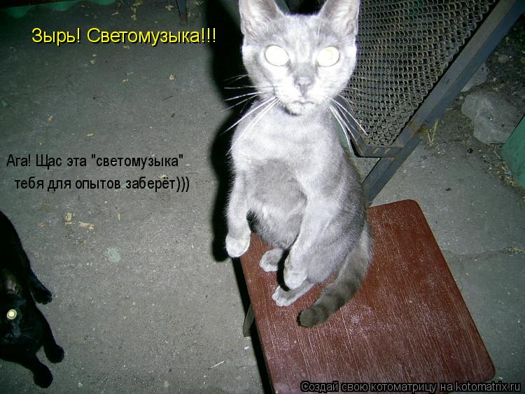 Зырь! Светомузыка!!! Ага! Щас эта "светомузыка" тебя для опытов заберёт)))... Котоматрица: Зырь! Светомузыка!!! Ага! Щас эта "светомузыка" тебя для опытов заберёт)))
