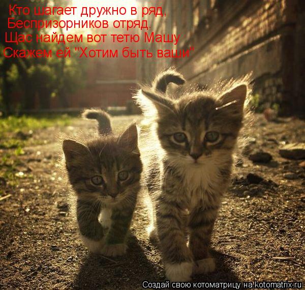 Котоматрица: Кто шагает дружно в ряд, Беспризорников отряд. Щас найдем вот тетю Машу Скажем ей "Хотим быть ваши"