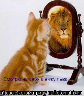 Котоматрица: Смотрю на себя,а вижу льва.