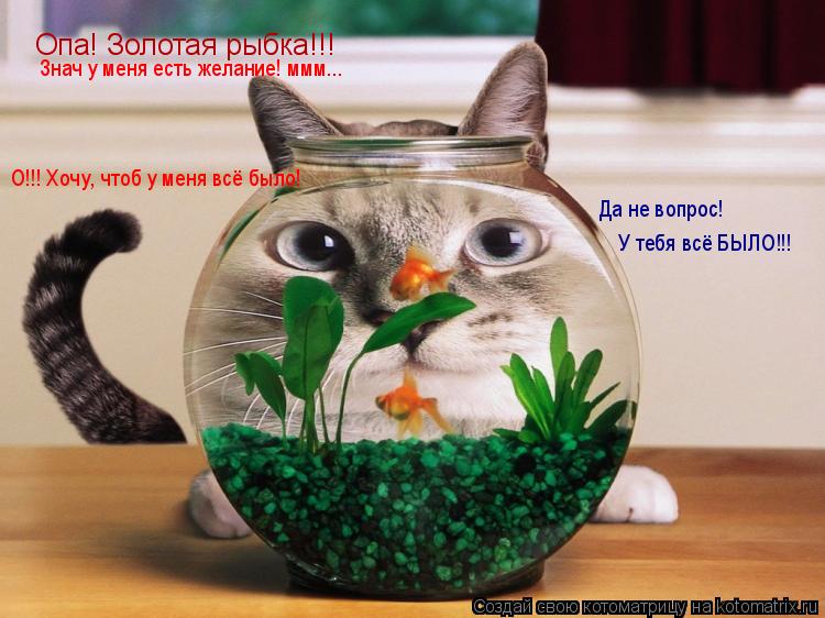 Опа! Золотая рыбка!!! Знач у меня есть желание! ммм... Да не вопрос! О!!! Хочу, чтоб у меня всё был... Котоматрица: Опа! Золотая рыбка!!! Знач у меня есть желание! ммм... Да не вопрос! О!!! Хочу, чтоб у меня всё было! У тебя всё БЫЛО!!!