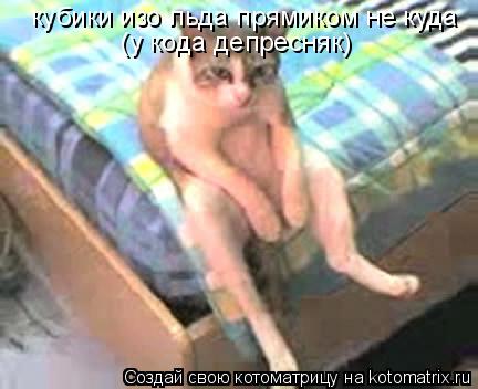 Котоматрица: кубики изо льда прямиком не куда (у кода депресняк)