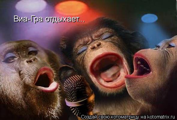 Котоматрица: Виа-Гра отдыхает...